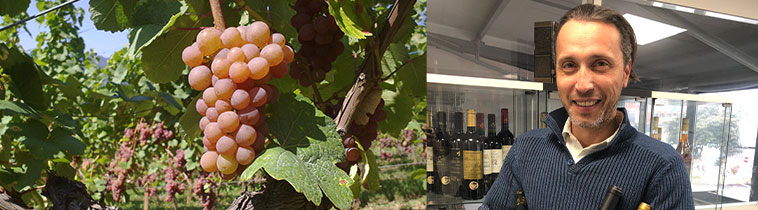 生産者　フィリップ・フリエール