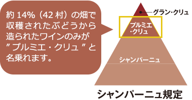 シャンパーニュ規定／約14％（42村）の畑で収穫されたぶどうから造られたワインのみが”プルミエ・クリュ”と名乗れます。