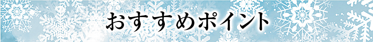 オススメポイント