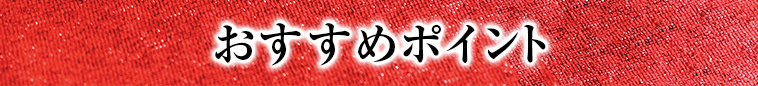 オススメポイント1