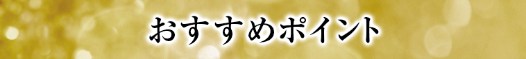 オススメポイント1