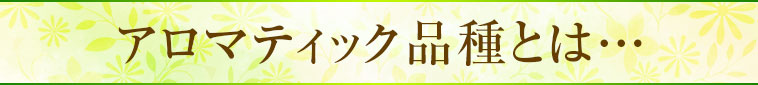 アロマティック品種とは…