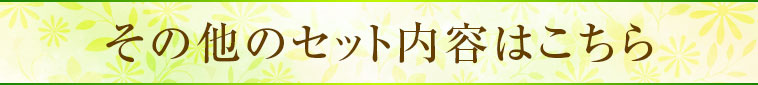 その他のセットの内容はこちら