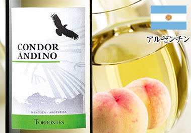 コンドール・アンディーノ・トロンテス