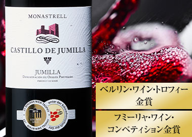 カスティージョ・デ・フミリヤ・ティント’２１