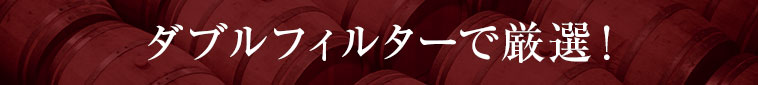 ダブルフィルターで厳選