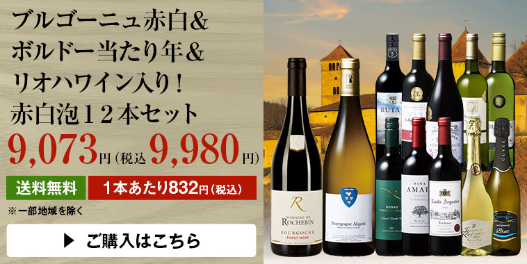 ブルゴーニュ赤白＆ボルドー当たり年＆リオハワイン入り！赤白泡１２本セット