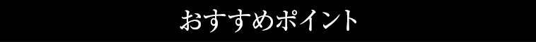 おすすめポイント