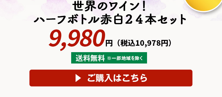 世界11ヵ国！ハーフボトル赤白２４本セット