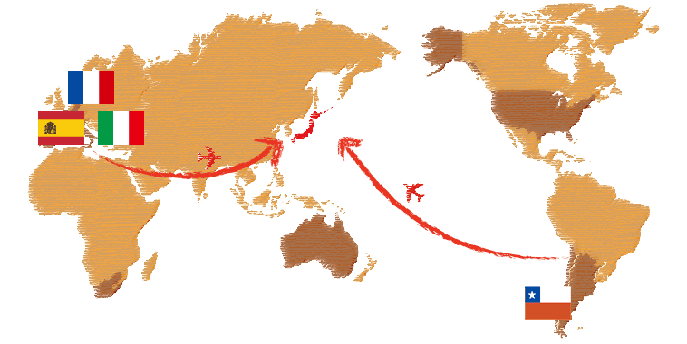 フランス・イタリア・スペイン・チリ