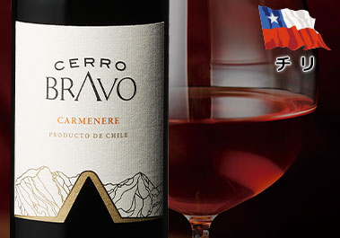 セロ・ブラヴォ・カルメネール