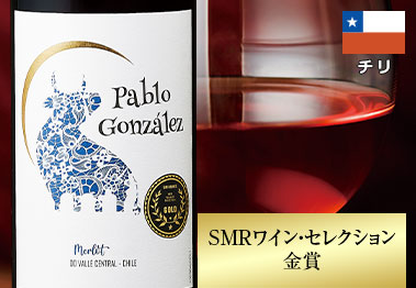 パブロ・ゴンザレス・メルロー