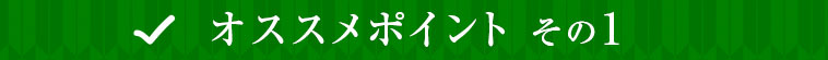 オススメポイントその１
