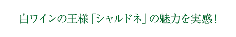 白ワインの王様「シャルドネ」の魅力を実感！