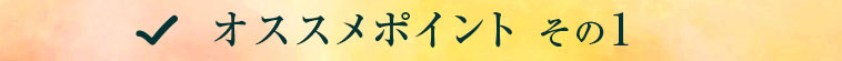 オススメポイントその１