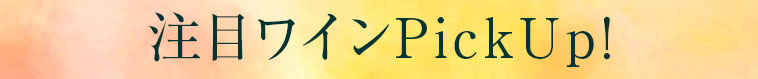注目Pick UPワイン