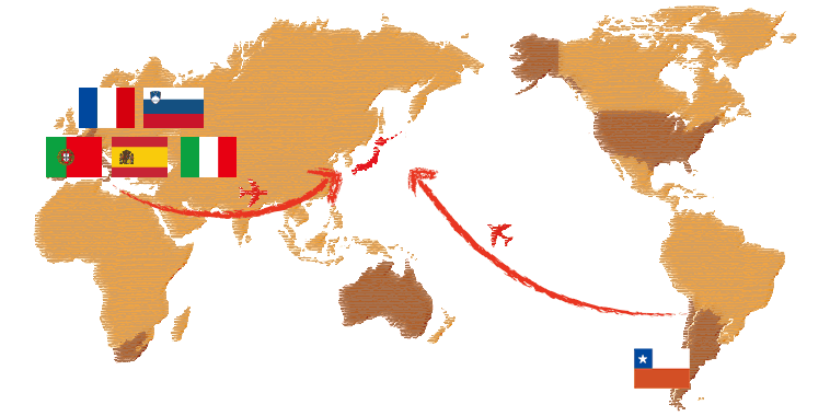 フランス、イタリア、スペイン、ポルトガル、スロヴェニア、チリ