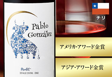 パブロ・ゴンザレス・メルロー