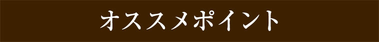 オススメポイント