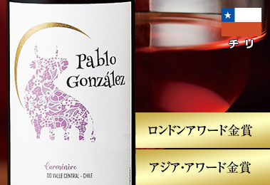 パブロ・ゴンザレス・カルメネール