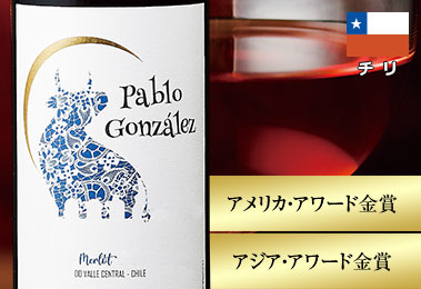 パブロ・ゴンザレス・メルロー