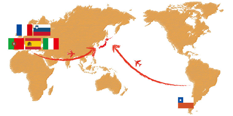 フランス、イタリア、スペイン、ポルトガル、スロヴェニア、チリ
