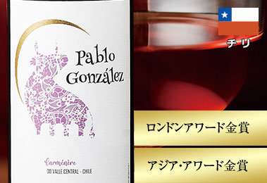 パブロ・ゴンザレス・カルメネール