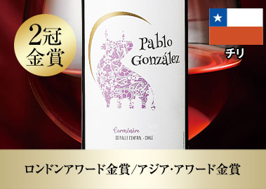 パブロ・ゴンザレス・カルメネール