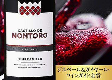 カスティーリョ・デ・モントロ