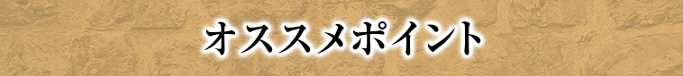オススメポイント
