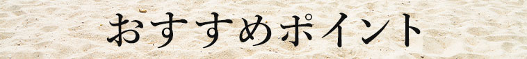おすすめポイント