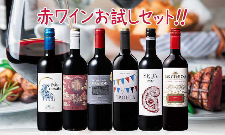 特別送料無料】3大銘醸地入り！赤wineお試し6本セット 第10弾 | ワイン