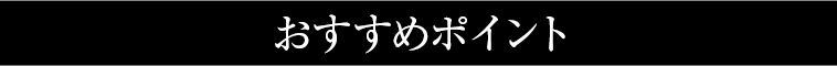 おすすめポイント