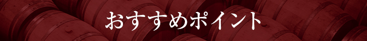 おすすめポイント