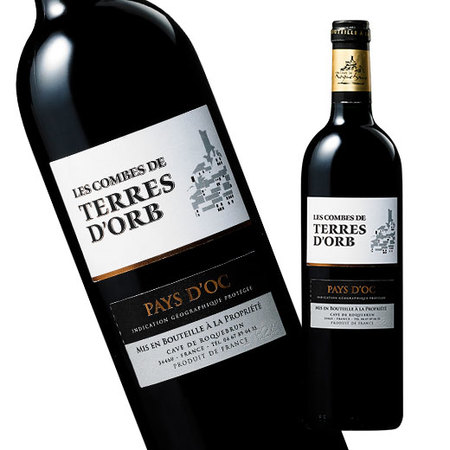 レ・コンブ・ド・テール・ドルブ’１７（２０１７）（ＩＧＰ　Ｏｃ／赤・ＦＢ）７５０ｍｌ