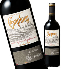 カプロン’２２（ＡＣボルドー）（赤・ＦＢ）