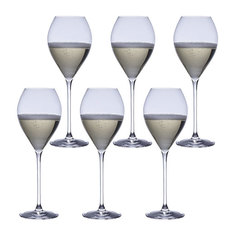 LEHMANN グランドシャンパーニュ 250cc 6脚セット