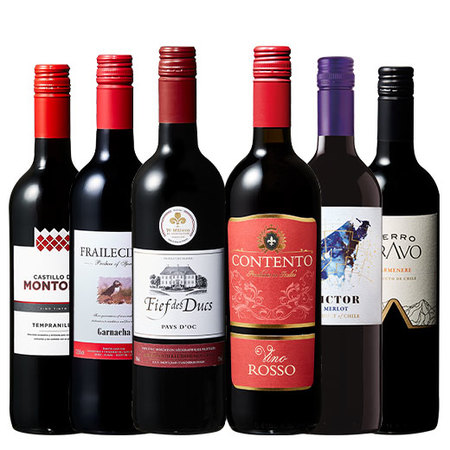 【特別送料無料】3大銘醸地入り！赤wineお試し6本セット　第4弾