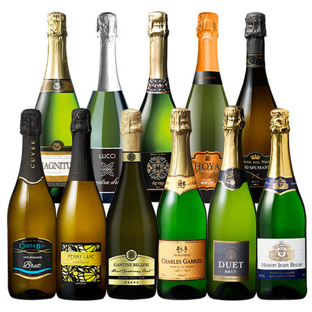 ３大銘醸地入り　世界選りすぐりスパークリングワイン１１本セット　第３２弾