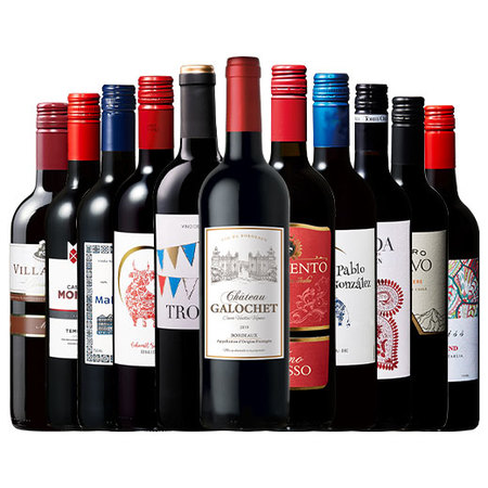 【特別送料無料】３大銘醸地入り！世界選りすぐり赤ワイン１１本セット　第２６１弾