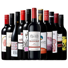 【特別送料無料】３大銘醸地入り！世界選りすぐり赤ワイン１１本セット　第２７３弾