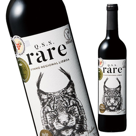 レア・リンクス’２３（ＶＲリスボン）（赤・ＦＢ）