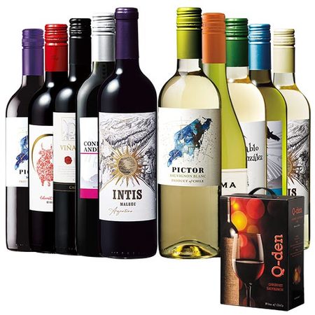 ボックスワイン付！南米銘醸地２ヵ国デイリー赤白ワイン飲み尽くし１０本セット
