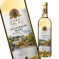 コスタ・デル・リオ・ソーヴィニヨン・ブラン’２３（ＶｄＴカスティーリャ）（白・辛口）