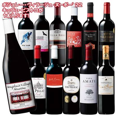 ヴィラージュ・ヌーヴォー入り！３大銘醸地入り世界の赤ワイン１２本セット