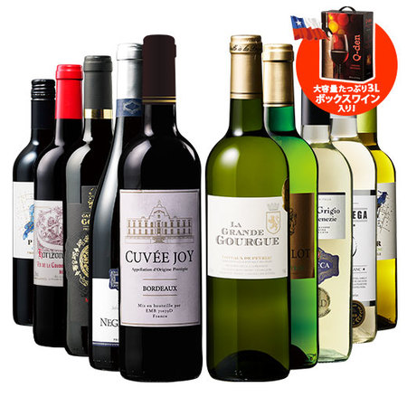 ボックスワイン入り！世界赤白ワイン１０本セット