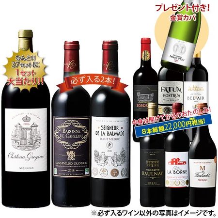 マグナムが当たるチャンス！ボルドー贅沢赤ワイン８本福袋