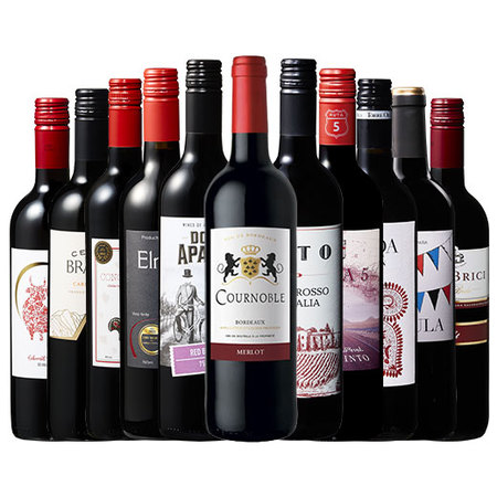 【特別送料無料】３大銘醸地入り！世界選りすぐり赤ワイン１１本セット 第２８１弾