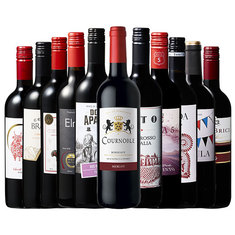 【特別送料無料】３大銘醸地入り！世界選りすぐり赤ワイン１１本セット 第２８１弾