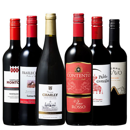 【特別送料無料】3大銘醸地入り！赤wineお試し6本セット　第2弾